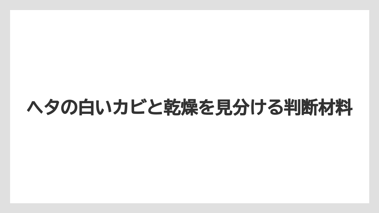 【栽培】【農園】【農業】ヘタの白いカビと乾燥を見分ける判断材料