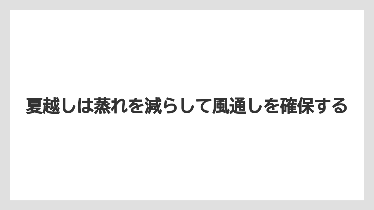 【バラ】【栽培】【肥料】夏越しは蒸れを減らして風通しを確保する