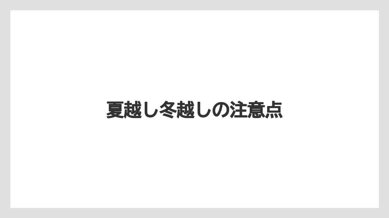 【バラ】【プランター】【水やり】【液体肥料】【草】夏越し冬越しの注意点