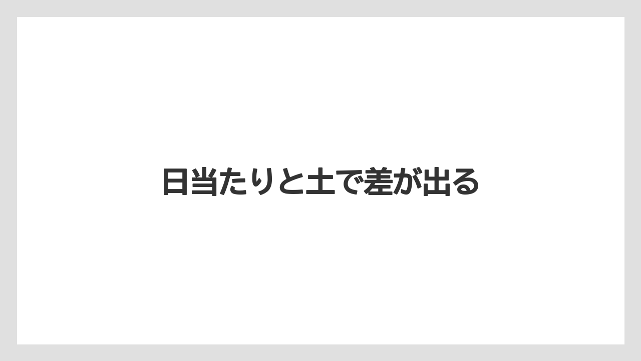 【害虫】【後悔】【水やり】【育て方】【除草剤】日当たりと土で差が出る