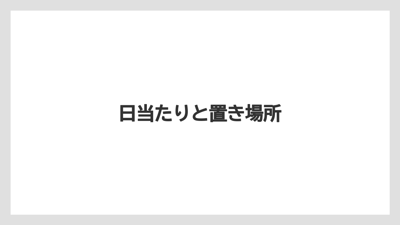 【栽培】【植え】【水やり】【種】【育て方】日当たりと置き場所