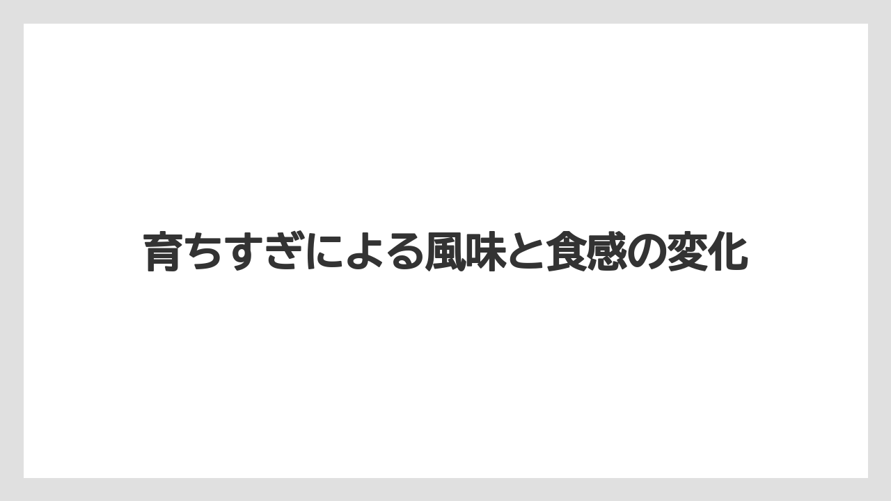 【栽培】【育ち】【行者にんにく】育ちすぎによる風味と食感の変化