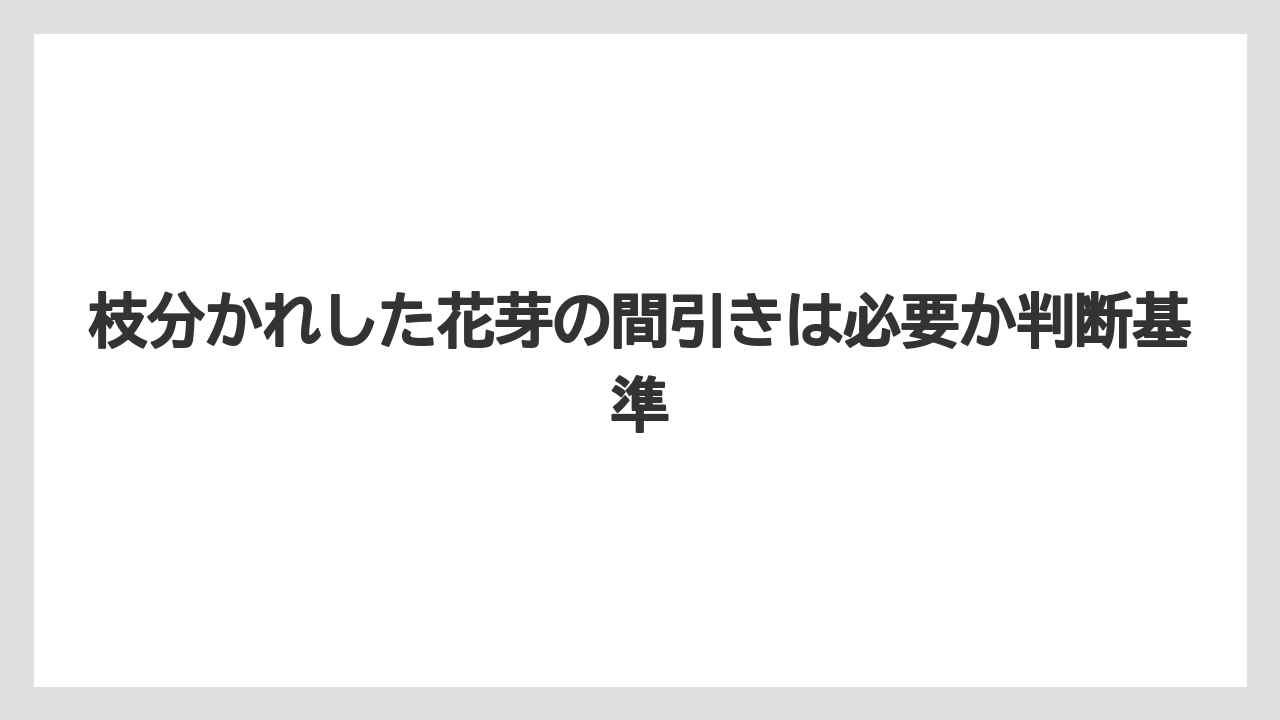 【栽培】【育て方】【胡蝶蘭】【花】枝分かれした花芽の間引きは必要か判断基準