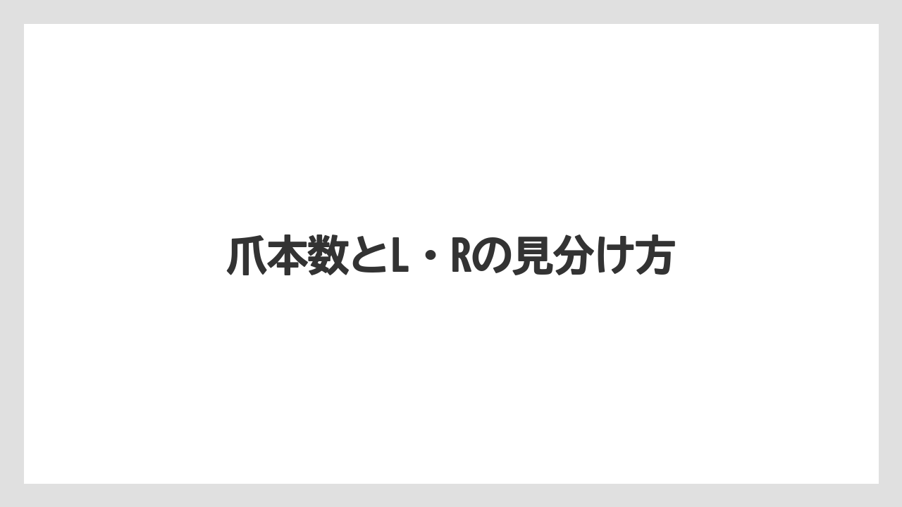 【トラクター】【バラ】【土】【庭】【根】爪本数とL・Rの見分け方