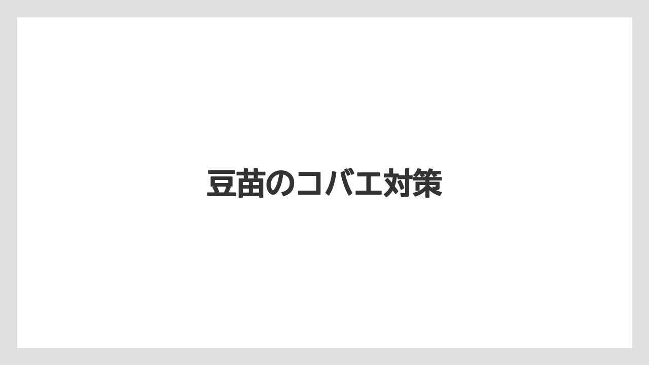 【害虫】【栽培】【豆苗】【農業】豆苗のコバエ対策