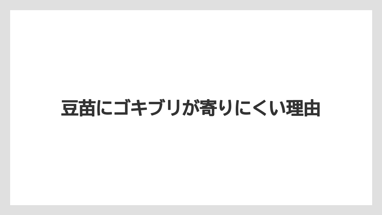 【害虫】【栽培】【豆苗】【農業】豆苗にゴキブリが寄りにくい理由