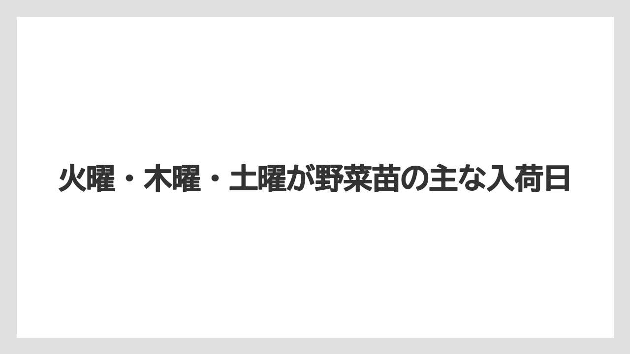 【コメリ】【栽培】【苗】【野菜】火曜・木曜・土曜が野菜苗の主な入荷日