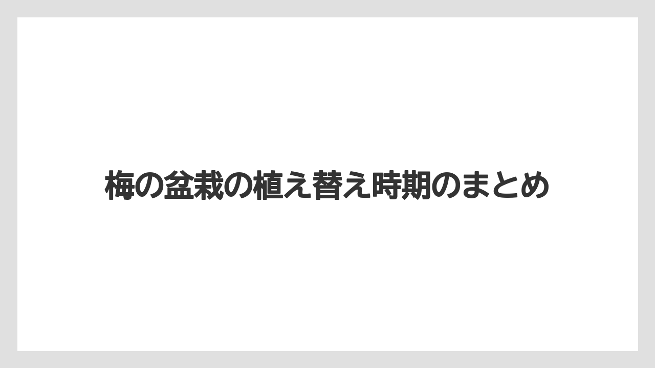 【剪定】【植え】【水やり】【育て方】【花】梅の盆栽の植え替え時期のまとめ