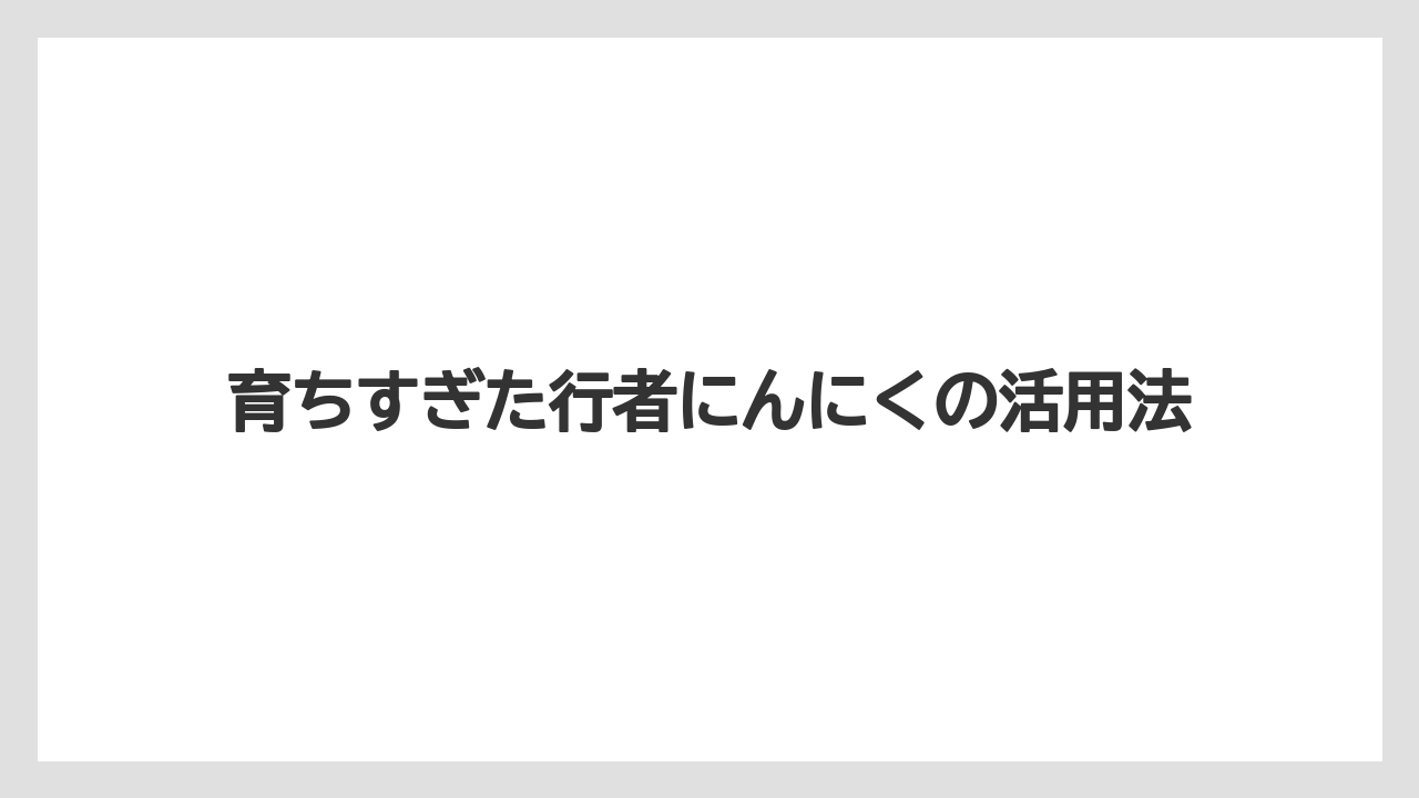 【栽培】【育ち】【行者にんにく】育ちすぎた行者にんにくの活用法