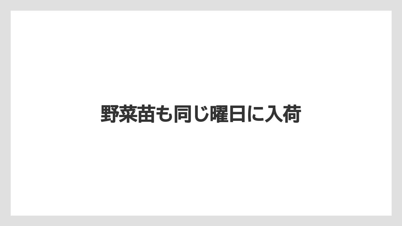 【コーナン】【栽培】【植物】【苗】野菜苗も同じ曜日に入荷