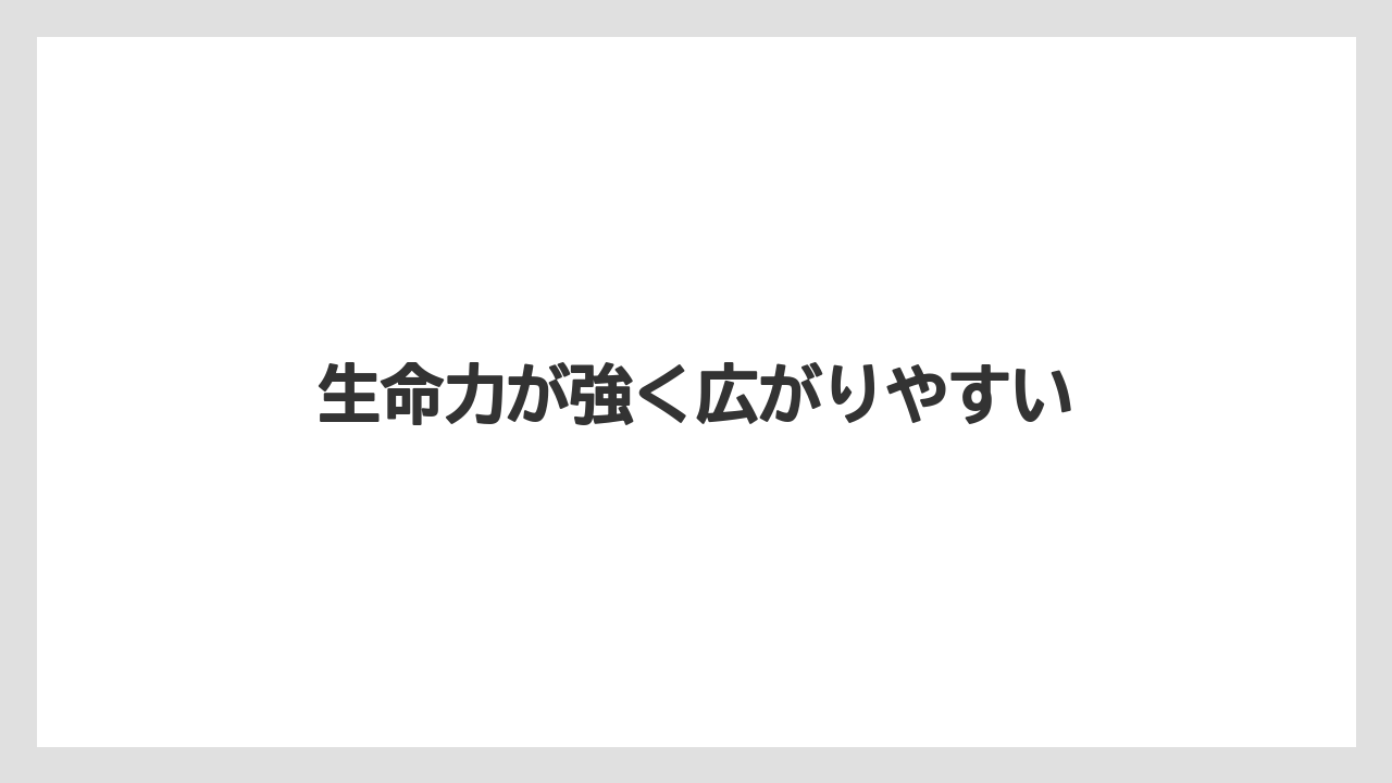 【いけない】【庭】【植え】【花】【鉢】生命力が強く広がりやすい