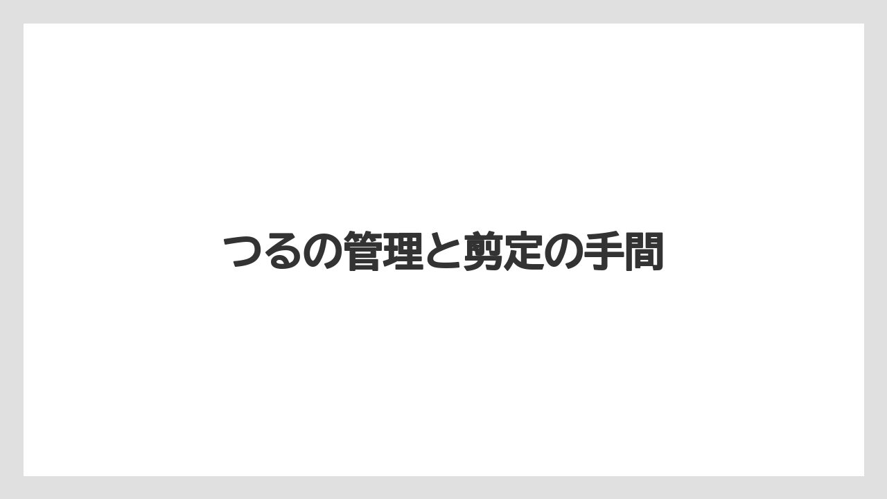 【いけない】【庭】【植え】【花】【鉢】つるの管理と剪定の手間