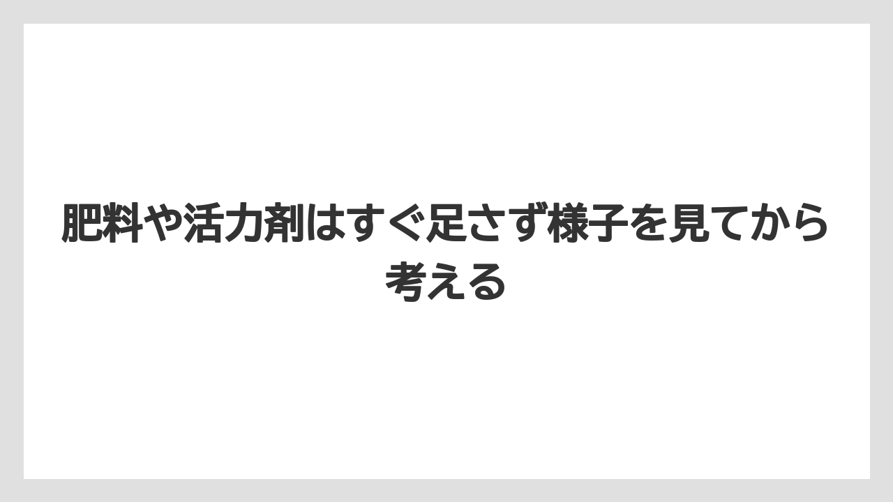 【アガベ】【サボテン】【多肉植物】【栽培】【肥料】肥料や活力剤はすぐ足さず様子を見てから考える