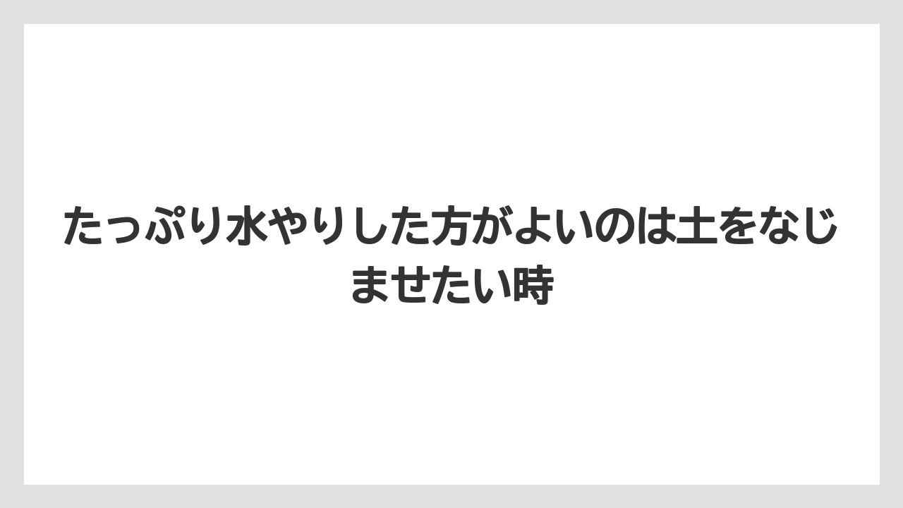 【アガベ】【サボテン】【多肉植物】【栽培】【肥料】たっぷり水やりした方がよいのは土をなじませたい時