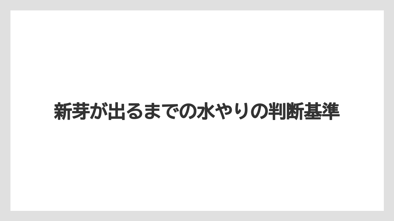 【エバーフレッシュ】【栽培】【育て方】新芽が出るまでの水やりの判断基準