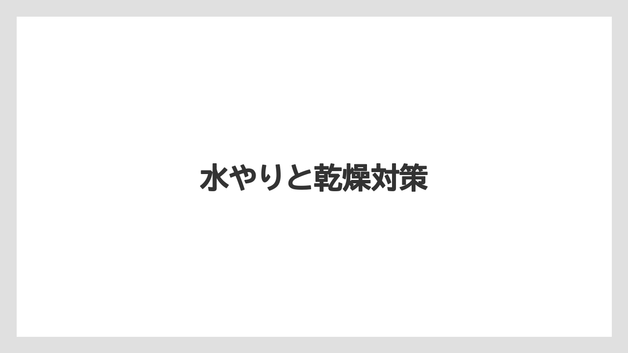 【栽培】【植え】【水やり】【種】【育て方】水やりと乾燥対策