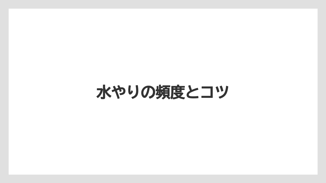 【ガジュマル】【栽培】【育て方】水やりの頻度とコツ