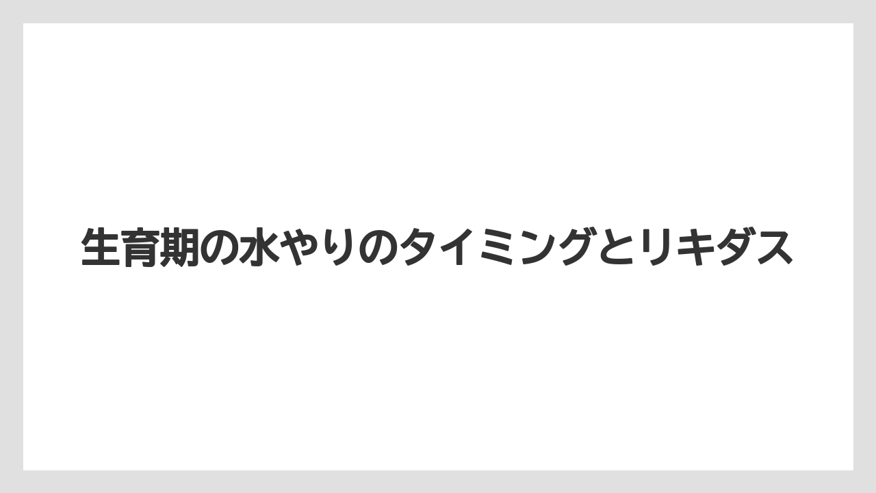 【アガベ】【リキダス】【栽培】生育期の水やりのタイミングとリキダス