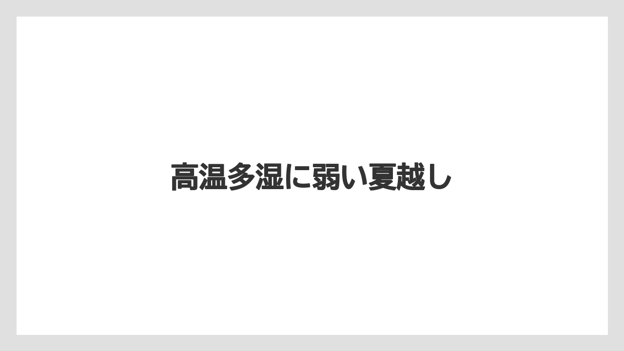 【いけない】【プランター】【植え】【水やり】【育て方】高温多湿に弱い夏越し