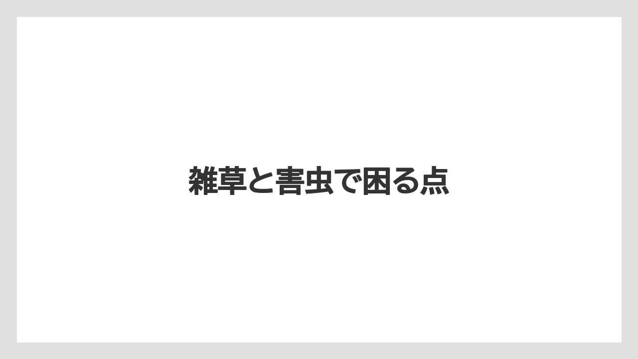 【害虫】【後悔】【水やり】【育て方】【除草剤】雑草と害虫で困る点