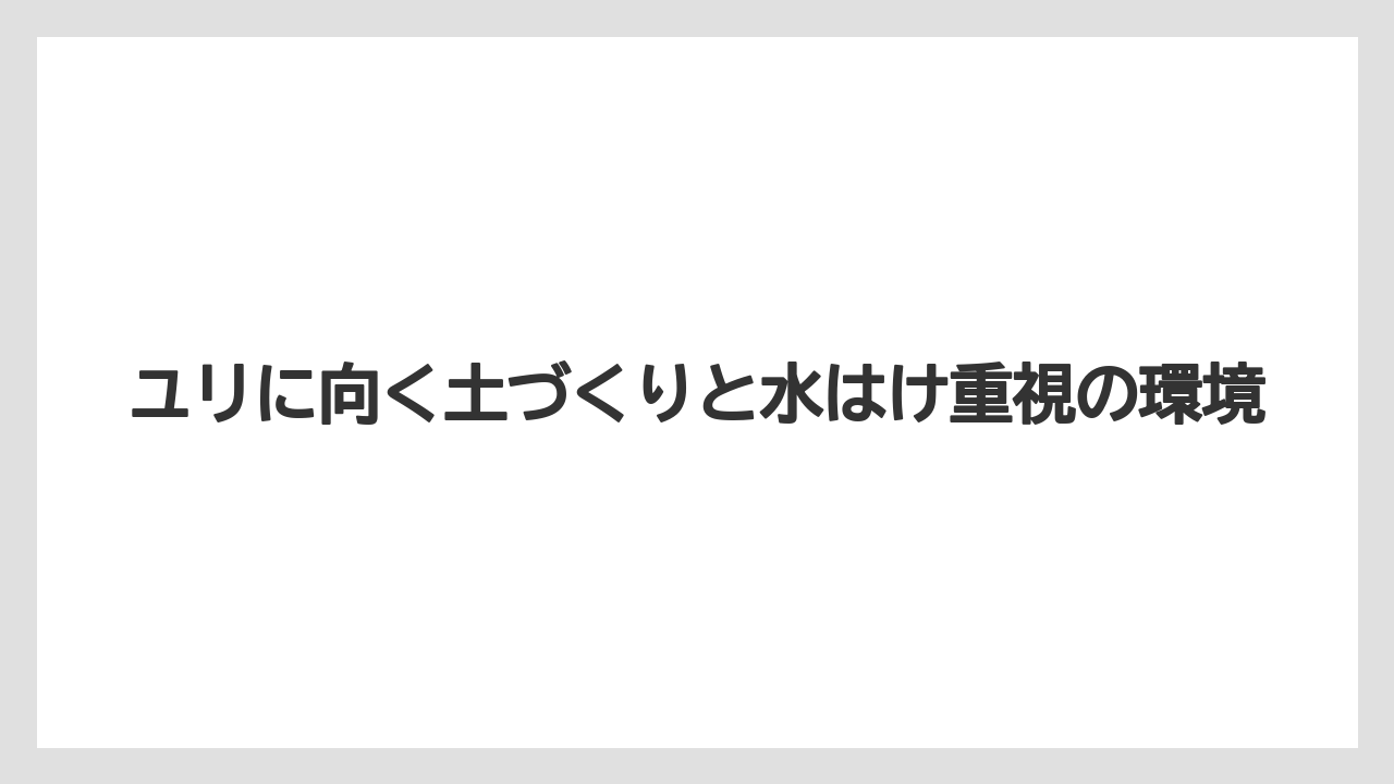 【栽培】【猫】【農業】ユリに向く土づくりと水はけ重視の環境