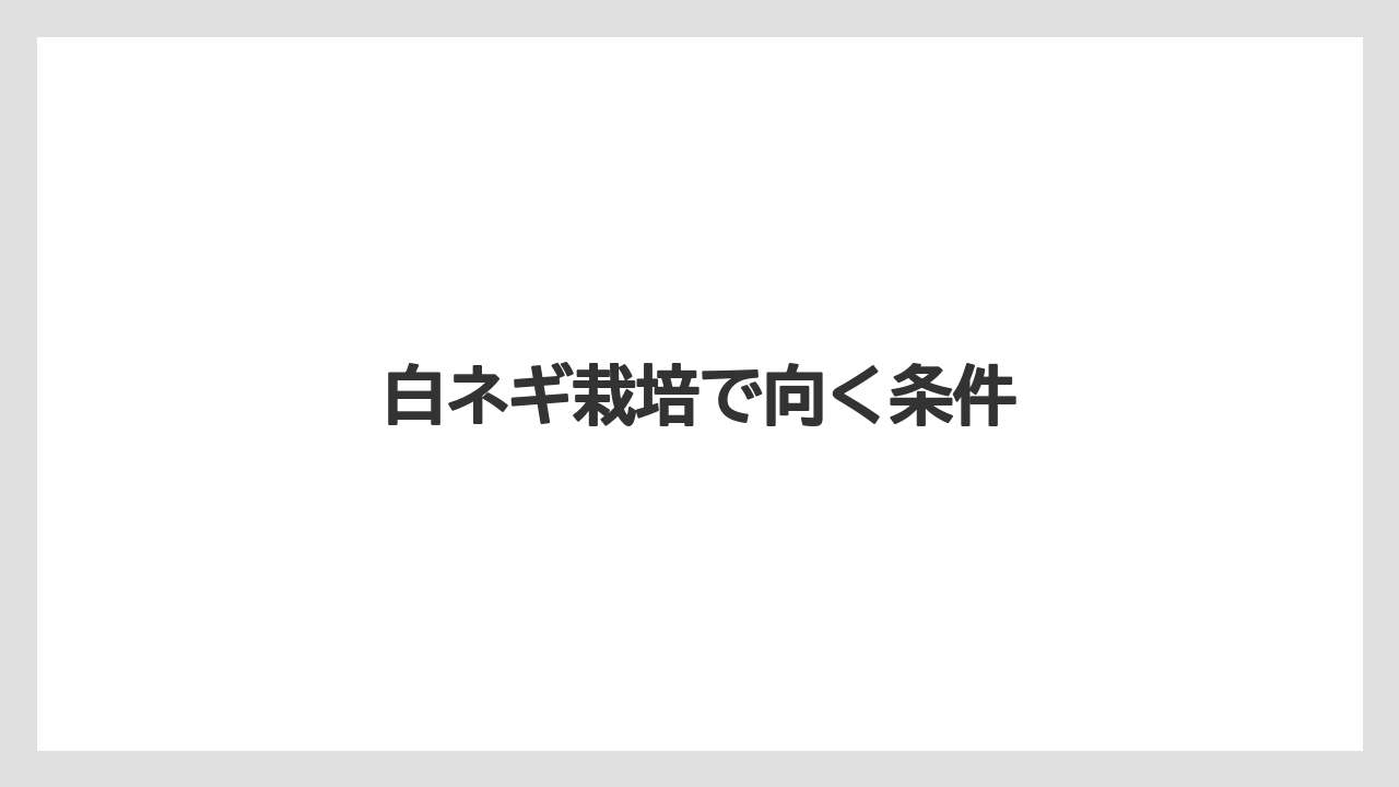 【トラクター】【栽培】【植え】【農業】【野菜】白ネギ栽培で向く条件