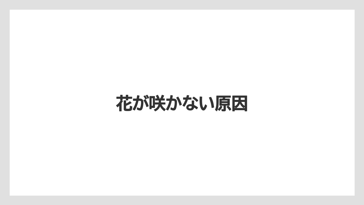 【プランター】【剪定】【植え】【草】【越し】花が咲かない原因