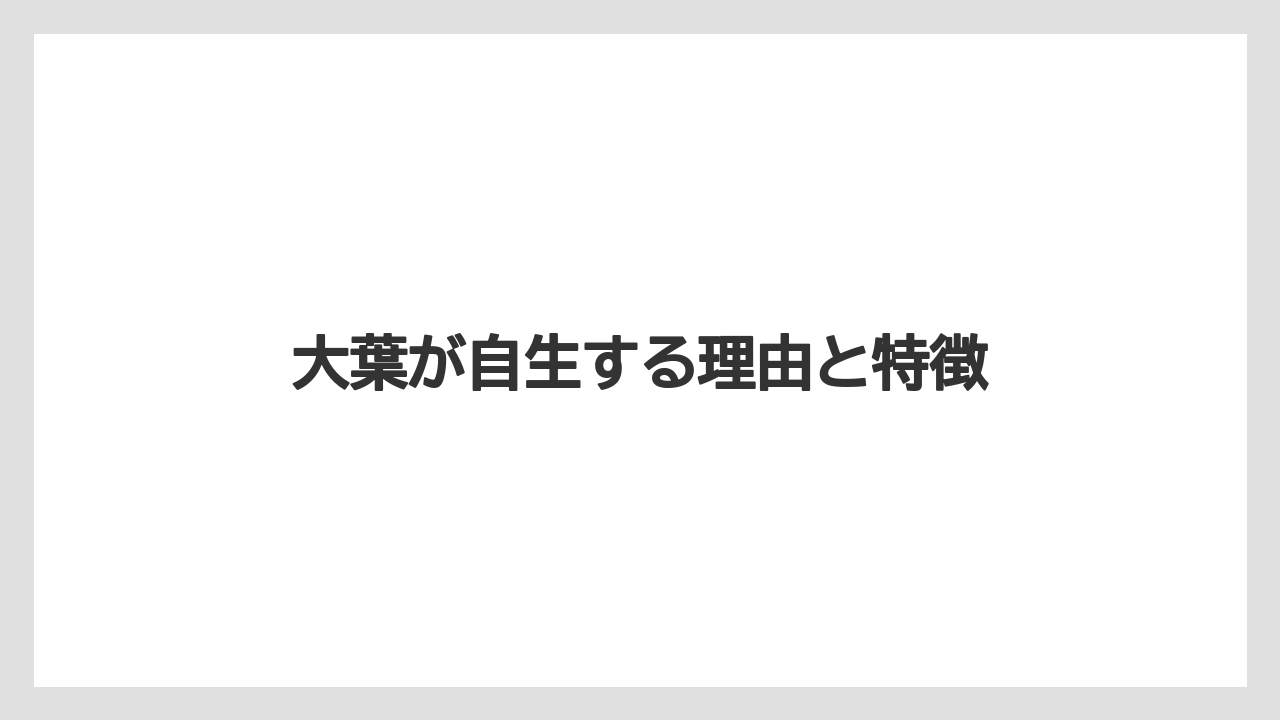 【大葉】【庭】【栽培】大葉が自生する理由と特徴