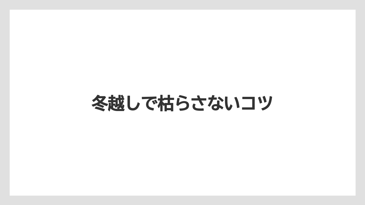 【プランター】【剪定】【植え】【草】【越し】冬越しで枯らさないコツ
