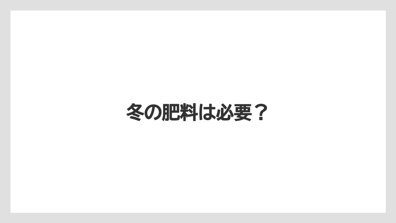 【プランター】【ミント】【剪定】【水やり】【越し】冬の肥料は必要？