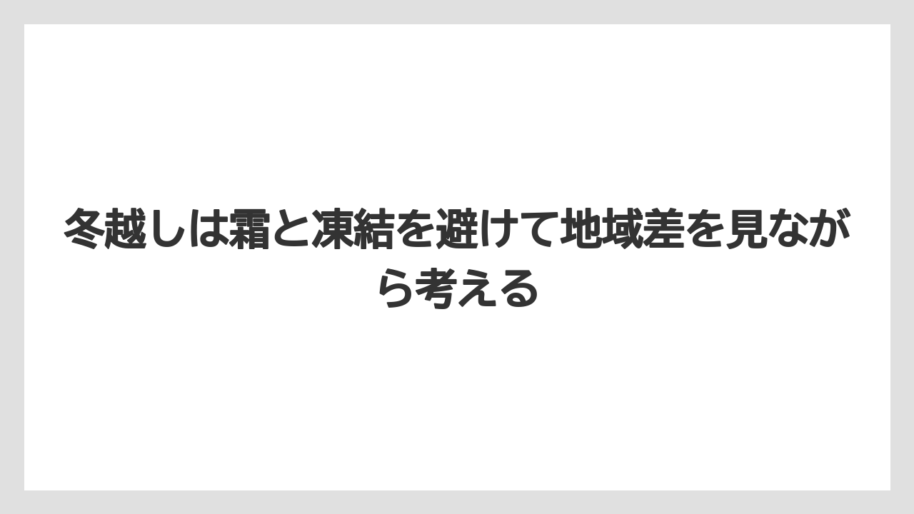 【バラ】【栽培】【肥料】冬越しは霜と凍結を避けて地域差を見ながら考える