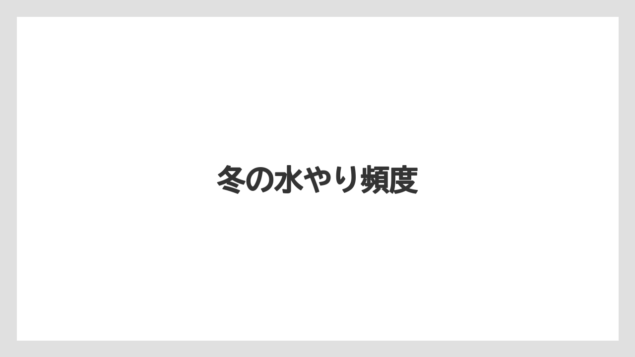 【プランター】【ミント】【剪定】【水やり】【越し】冬の水やり頻度