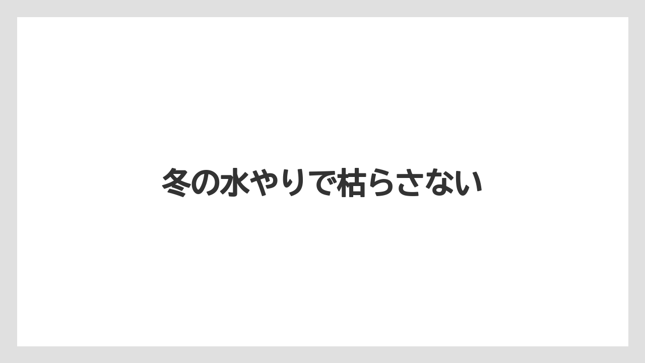【バラ】【支柱】【水やり】【育て方】【越し】冬の水やりで枯らさない
