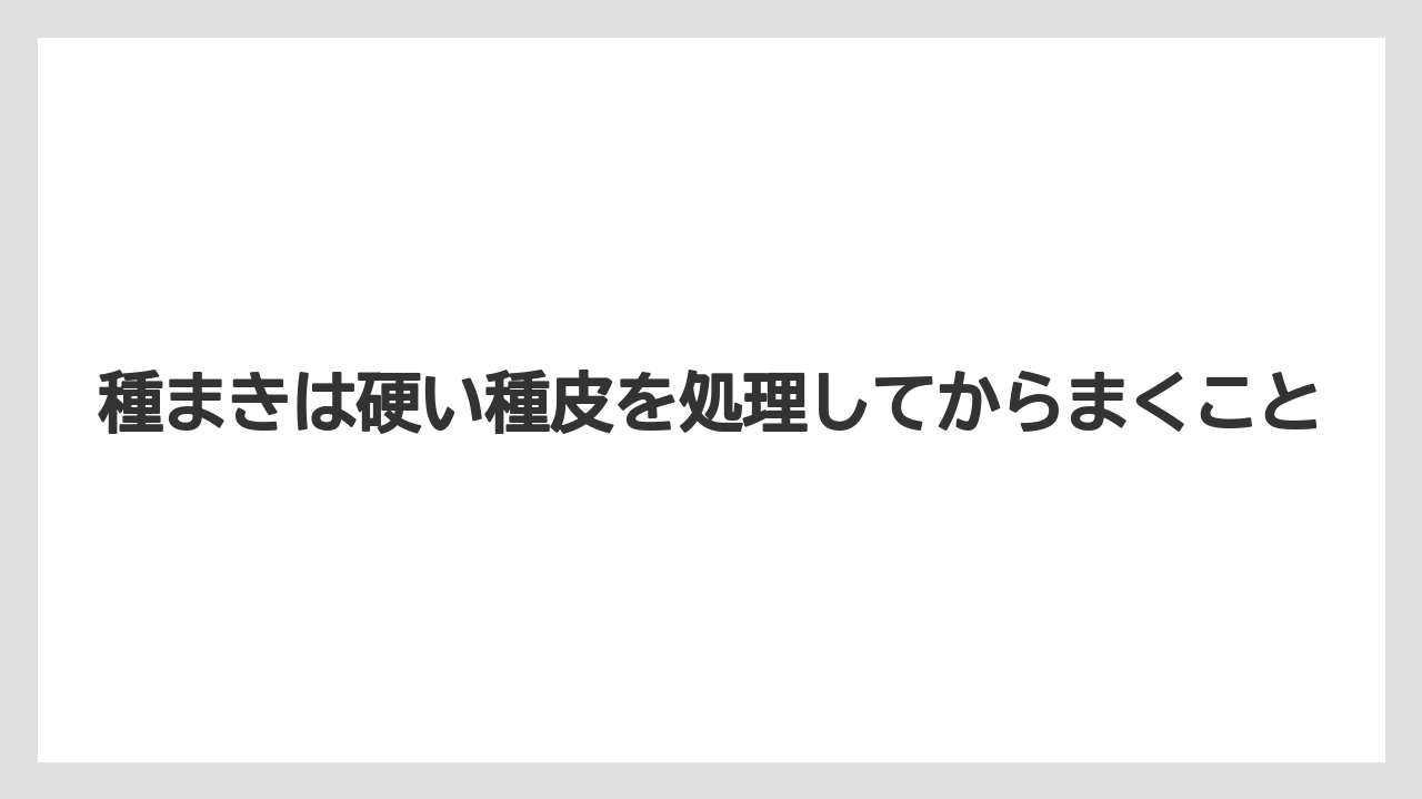 【バラ】【ミモザ】【栽培】【肥料】種まきは硬い種皮を処理してからまくこと