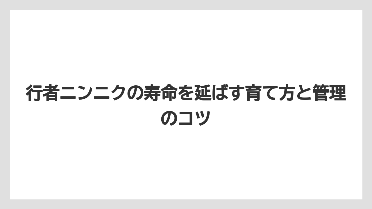【ニンニク】【栽培】【肥料】【農業】行者ニンニクの種の寿命は短く保存には向かない
