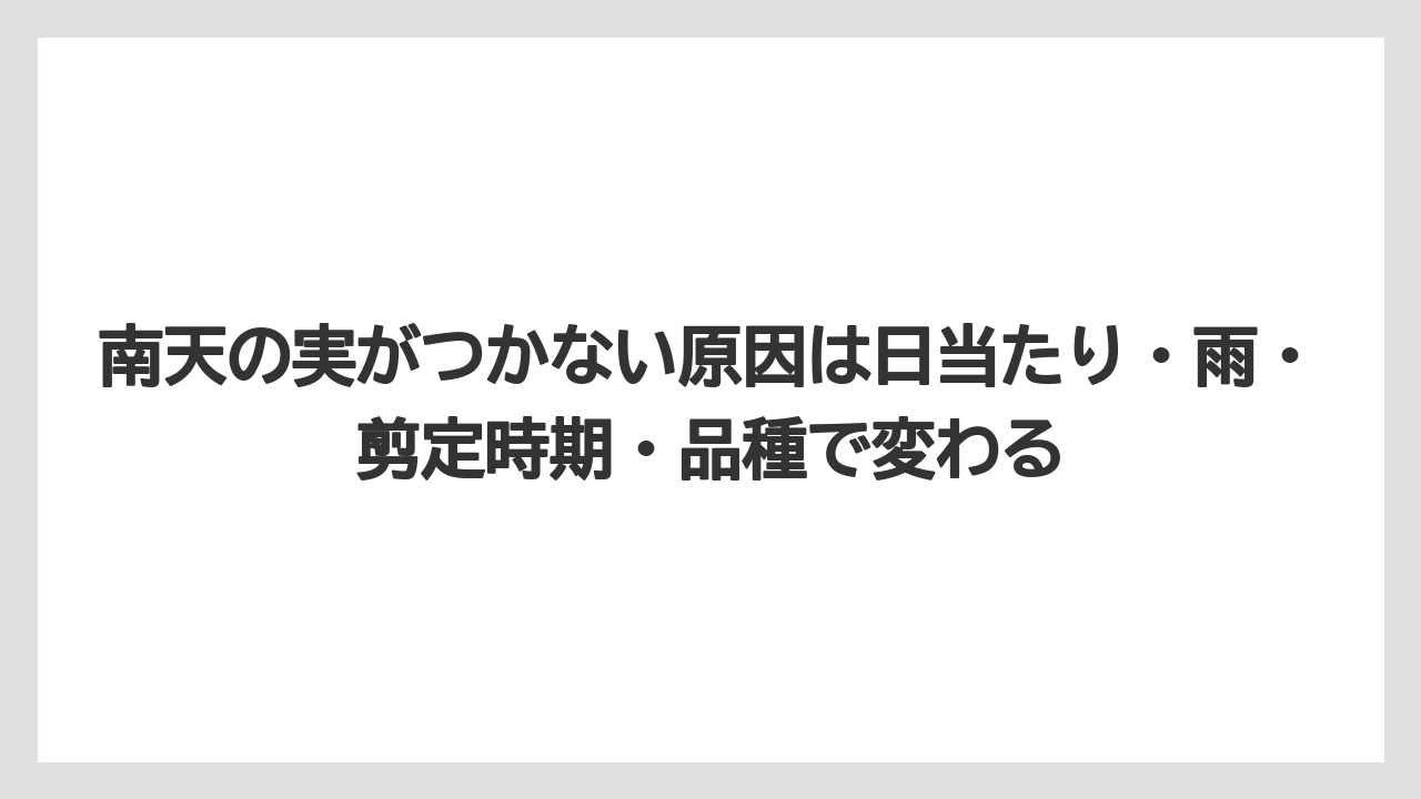 【ハイポネックス】【栽培】【農業】南天の実がつかない原因は日当たり・雨・剪定時期・品種で変わる