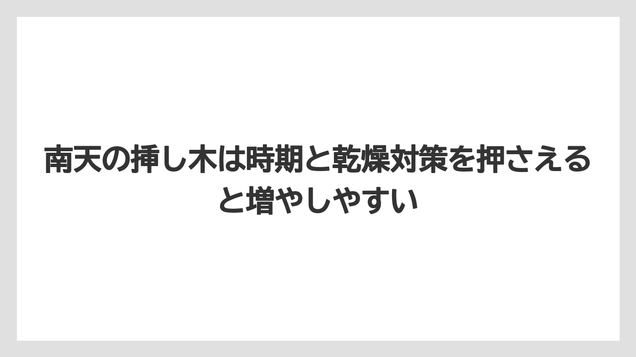 【ハイポネックス】【栽培】【農業】南天の挿し木は時期と乾燥対策を押さえると増やしやすい