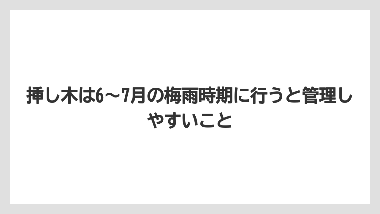 【バラ】【ミモザ】【栽培】【肥料】挿し木は6〜7月の梅雨時期に行うと管理しやすいこと