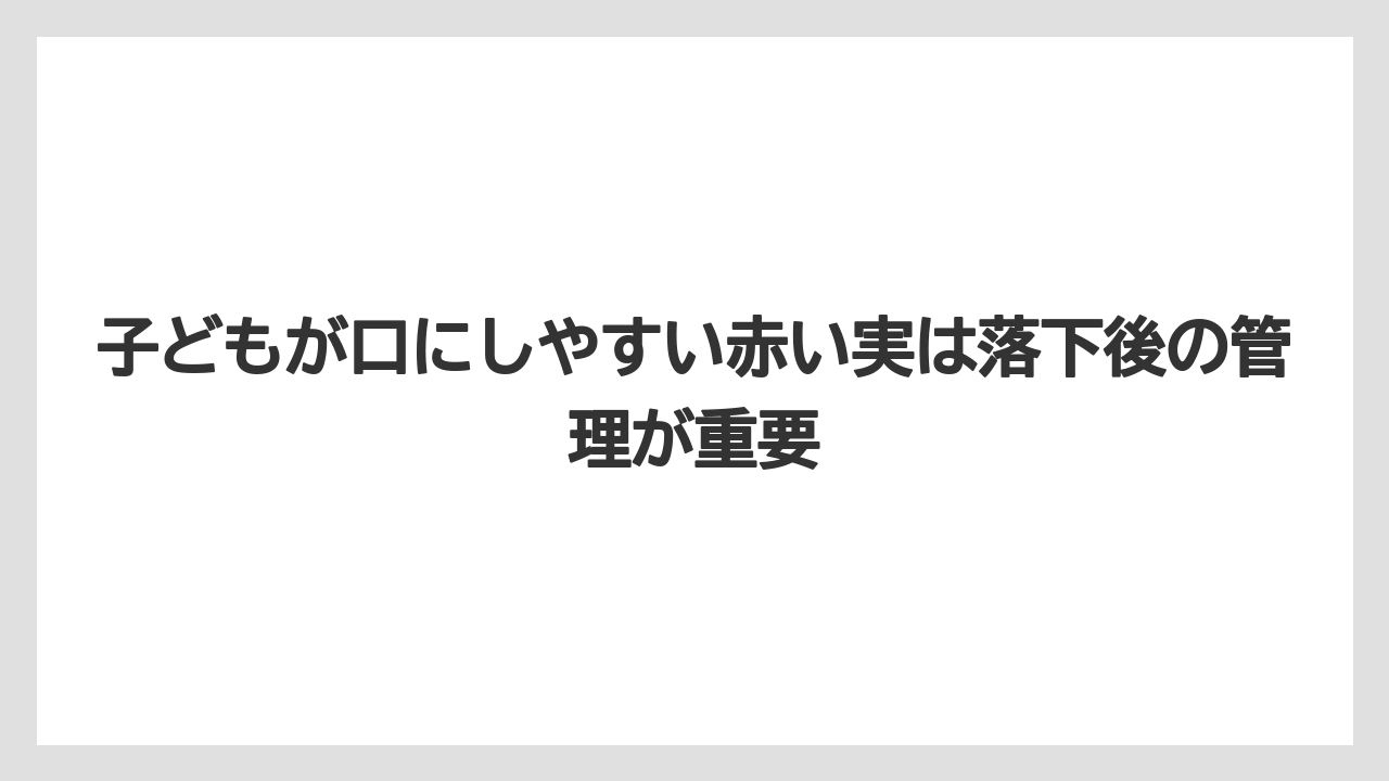 【バラ】【栽培】【猫】子どもが口にしやすい赤い実は落下後の管理が重要