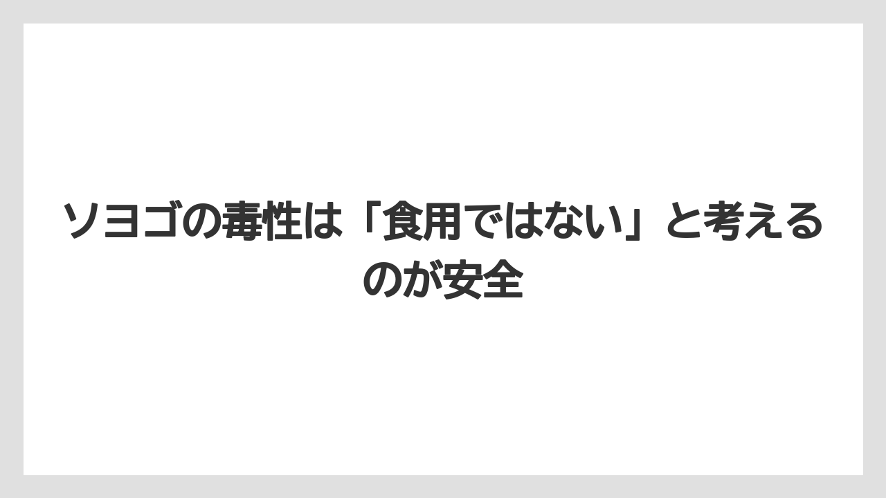 【バラ】【栽培】【猫】ソヨゴの毒性は「食用ではない」と考えるのが安全