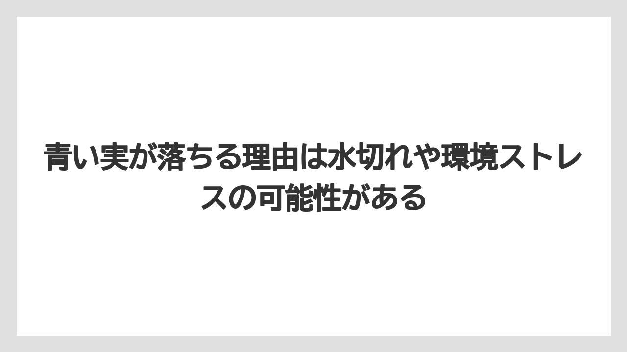【バラ】【栽培】【猫】青い実が落ちる理由は水切れや環境ストレスの可能性がある