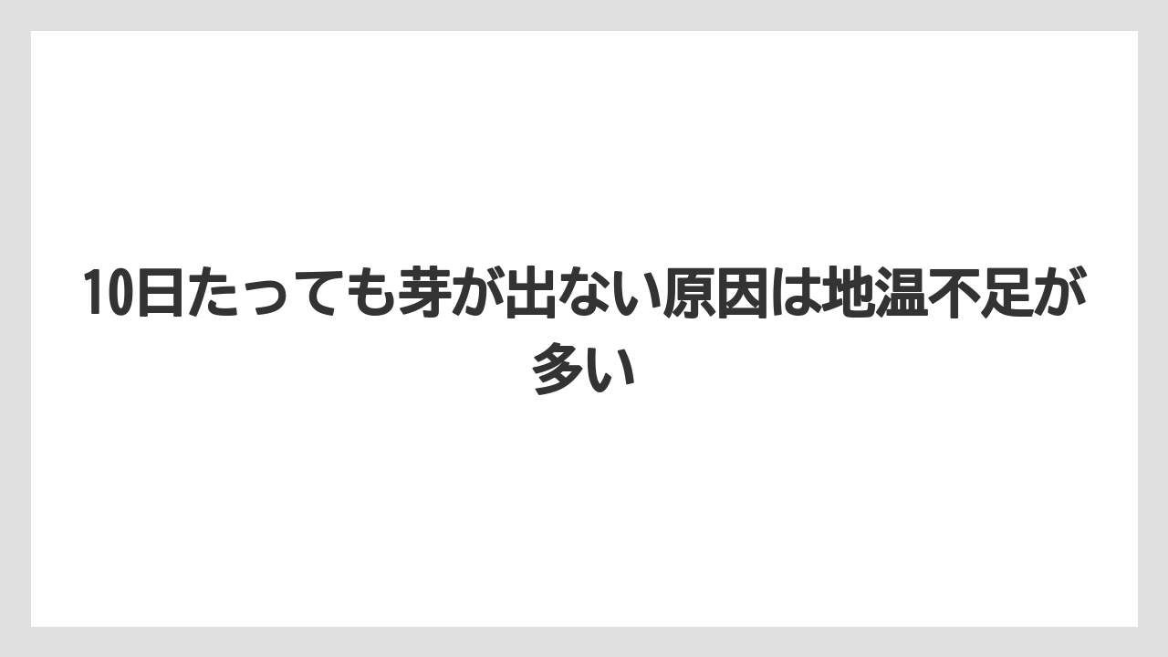 【ゴーヤ】【栽培】【農業】10日たっても芽が出ない原因は地温不足が多い