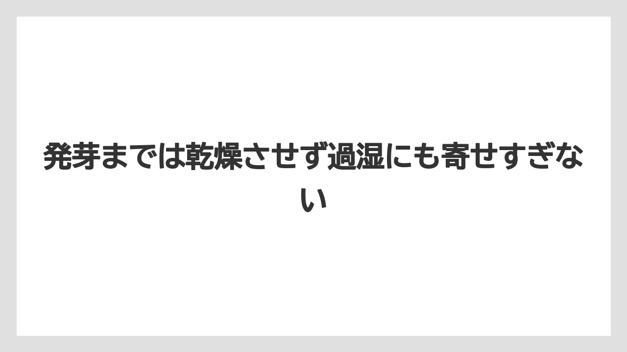 【ゴーヤ】【栽培】【農業】発芽までは乾燥させず過湿にも寄せすぎない