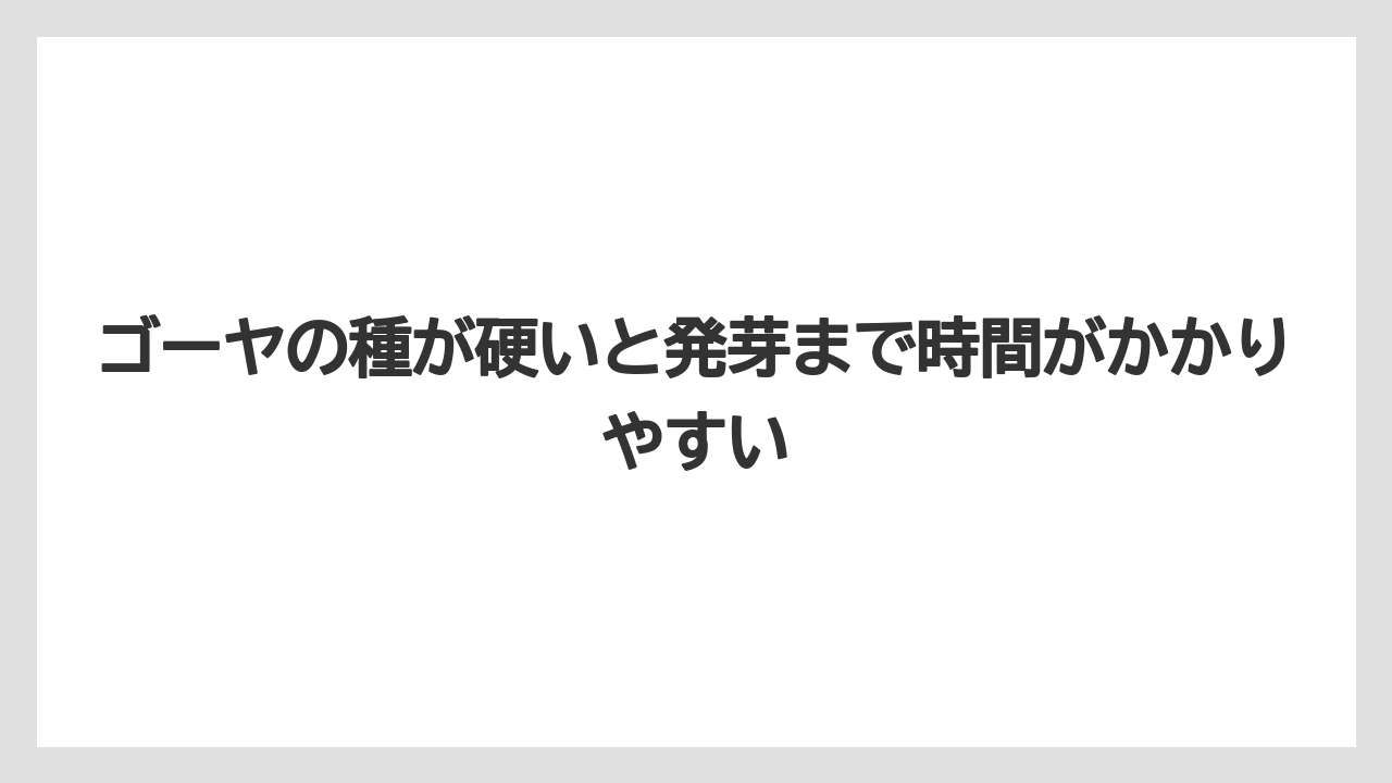 【ゴーヤ】【栽培】【農業】ゴーヤの種が硬いと発芽まで時間がかかりやすい