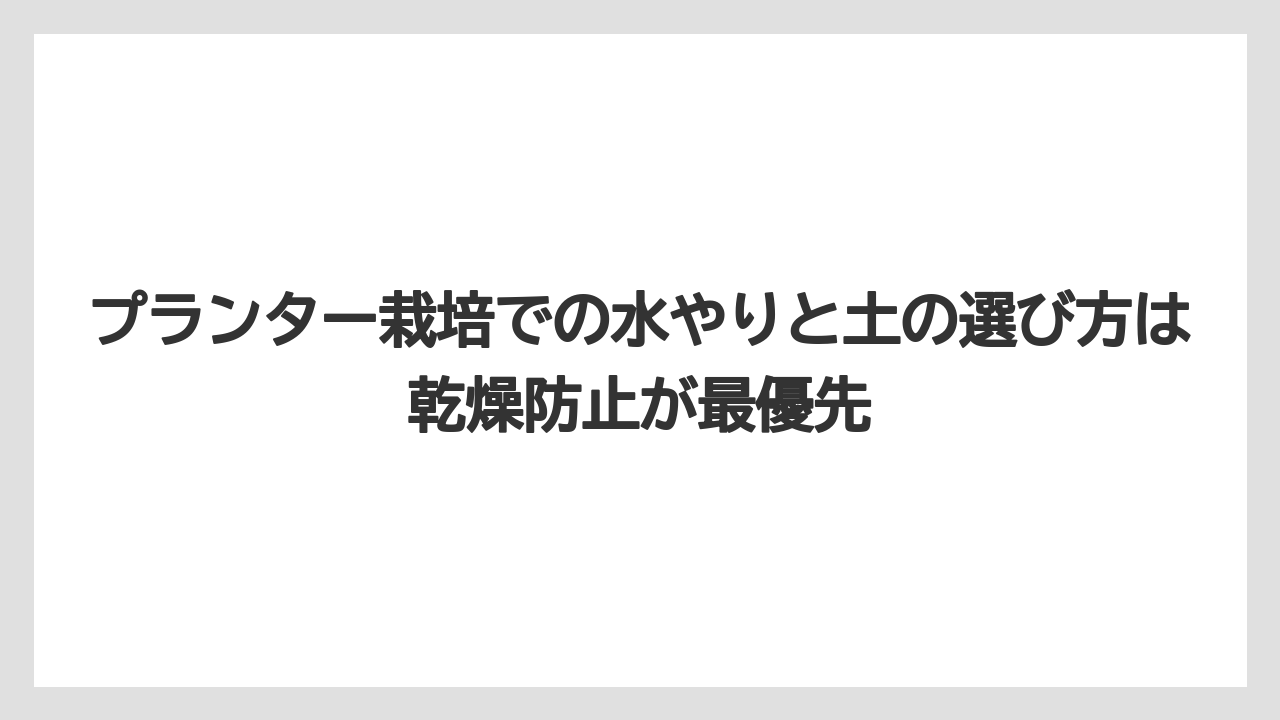【ニンニク】【栽培】【肥料】【農業】プランター栽培での水やりと土の選び方は乾燥防止が最優先