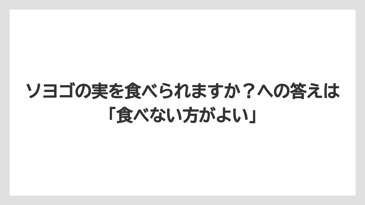 【バラ】【栽培】【猫】ソヨゴの実を食べられますか？への答えは「食べない方がよい」