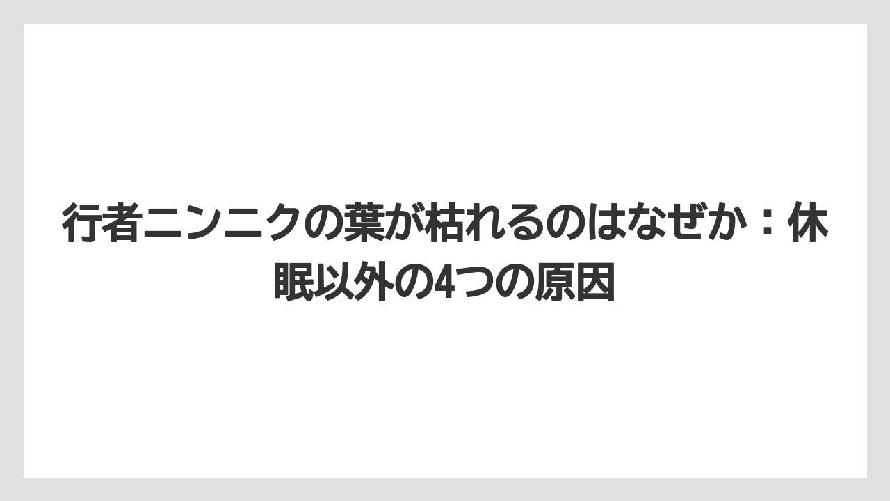 【ニンニク】【栽培】【肥料】【農業】行者ニンニクの葉が枯れるのはなぜか：休眠以外の4つの原因