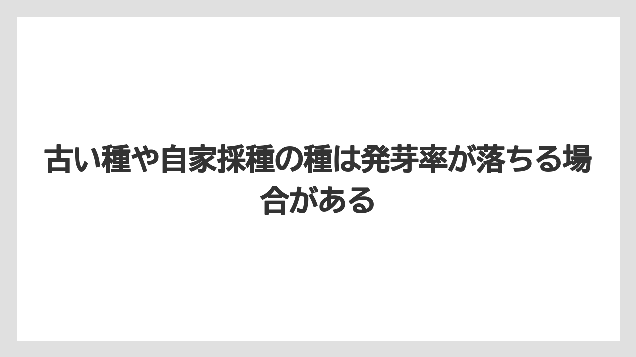 【ゴーヤ】【栽培】【農業】古い種や自家採種の種は発芽率が落ちる場合がある