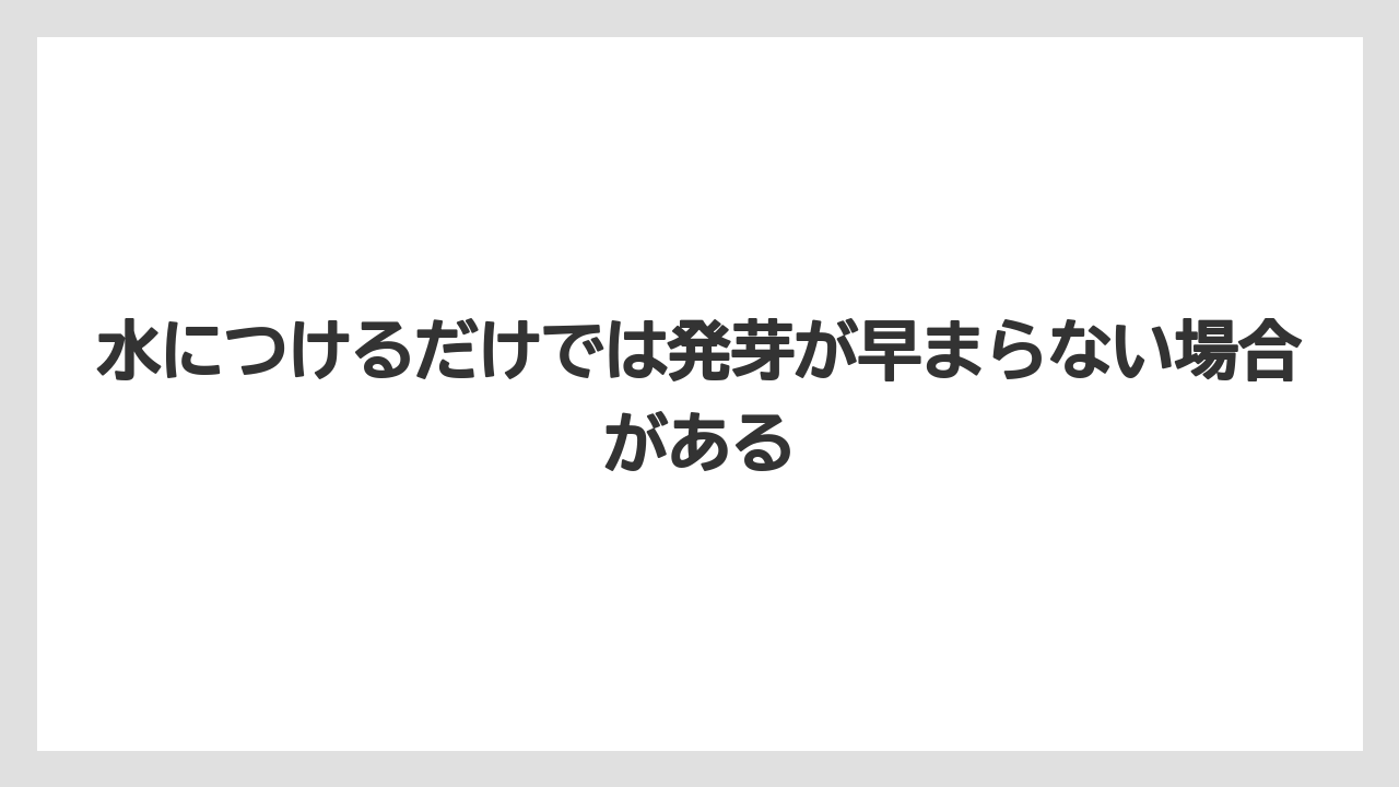 【ゴーヤ】【栽培】【農業】水につけるだけでは発芽が早まらない場合がある