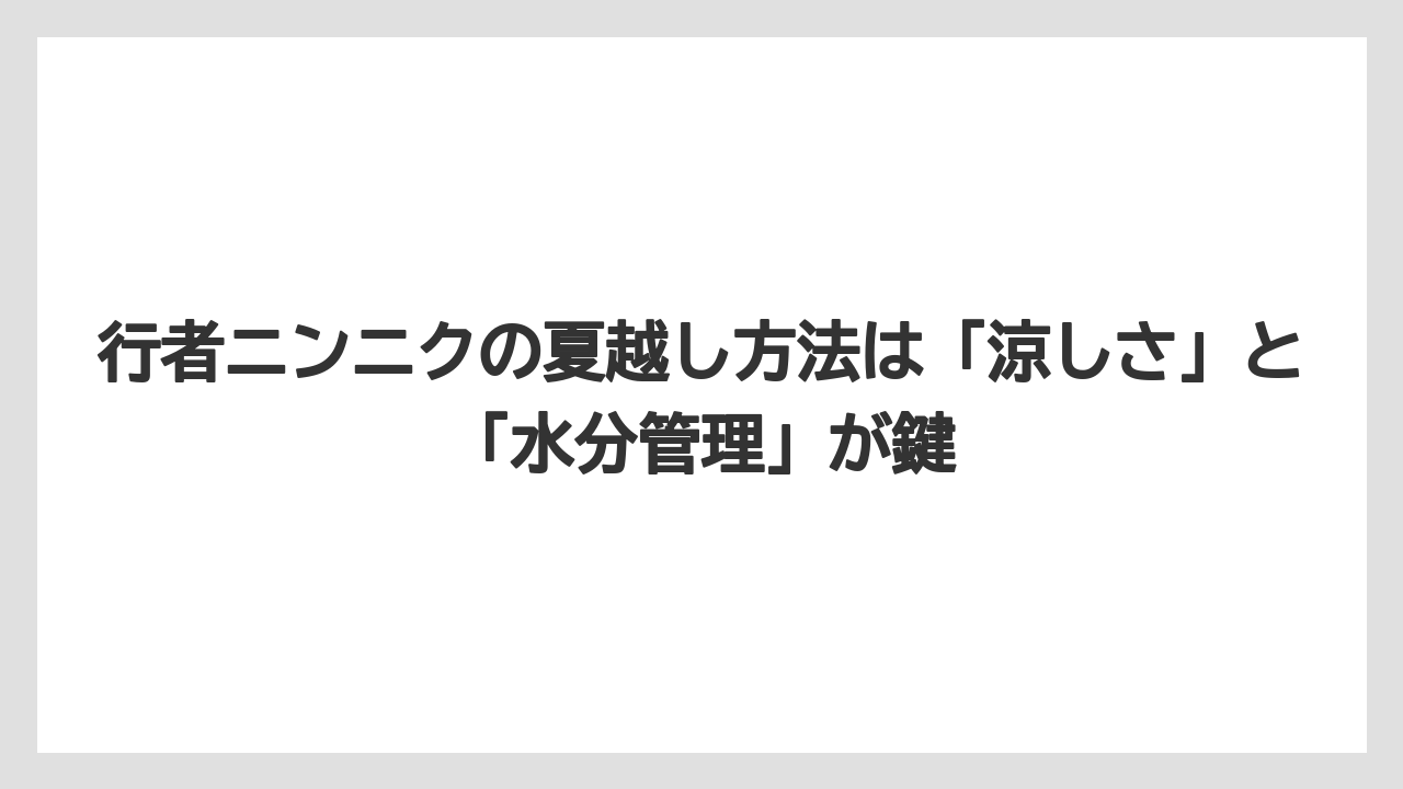 【ニンニク】【栽培】【肥料】【農業】行者ニンニクの夏越し方法は「涼しさ」と「水分管理」が鍵